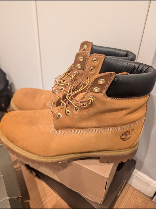 Timberland Wheat Leather Boots with Black Collar main image 5